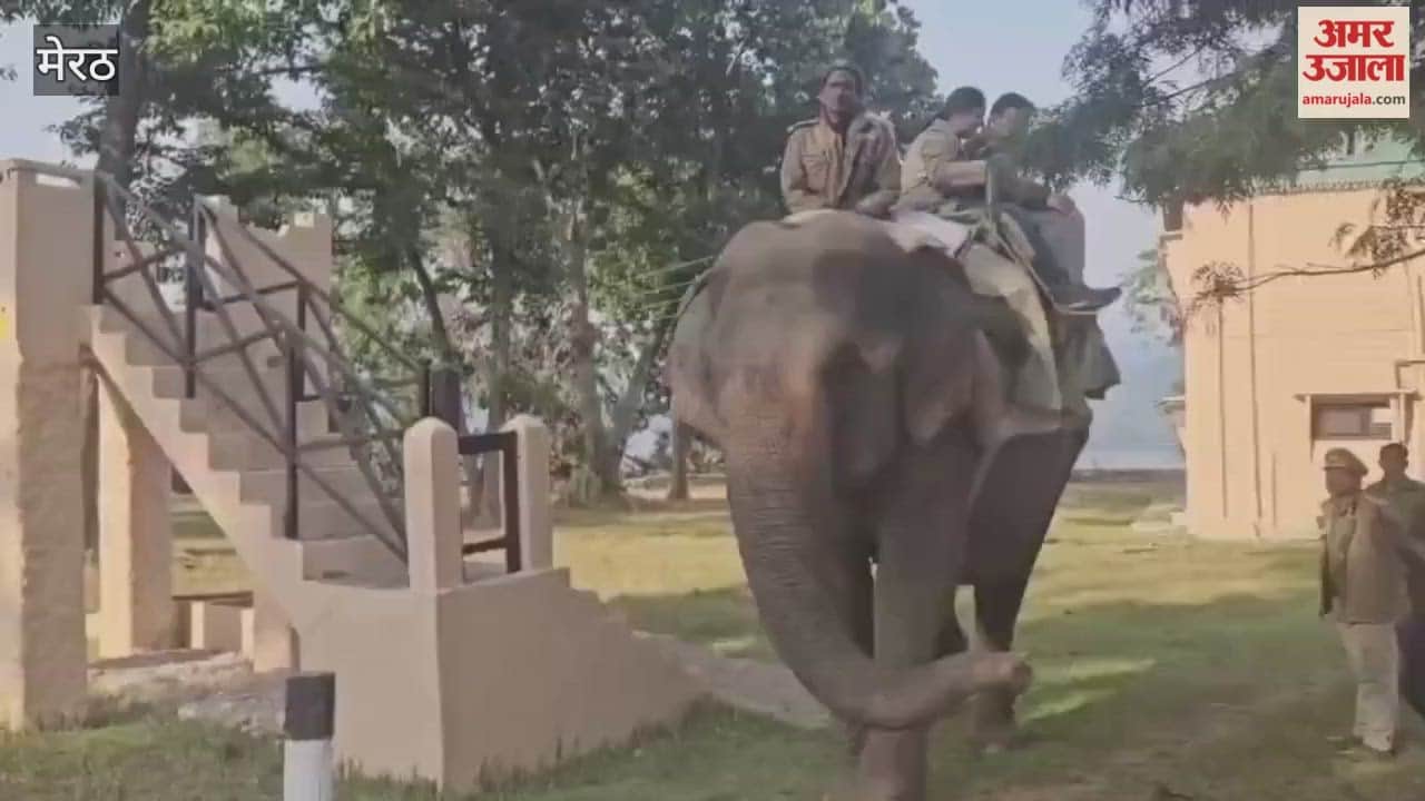 Bijnor: Elephant safaris have started in Corbett National Park, with elephants Asha and Albeli taking tourists on tours of the jungle