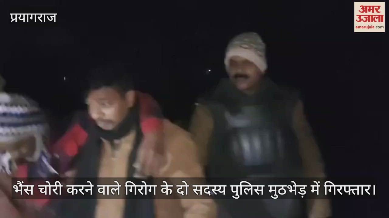 Two members of a buffalo theft gang arrested in a police encounter, shot in the leg