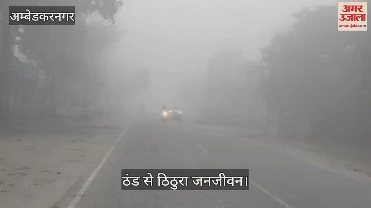 VIDEO: घने कोहरे की चादर में लिपटा अकबरपुर, ठंड से ठिठुरा जनजीवन