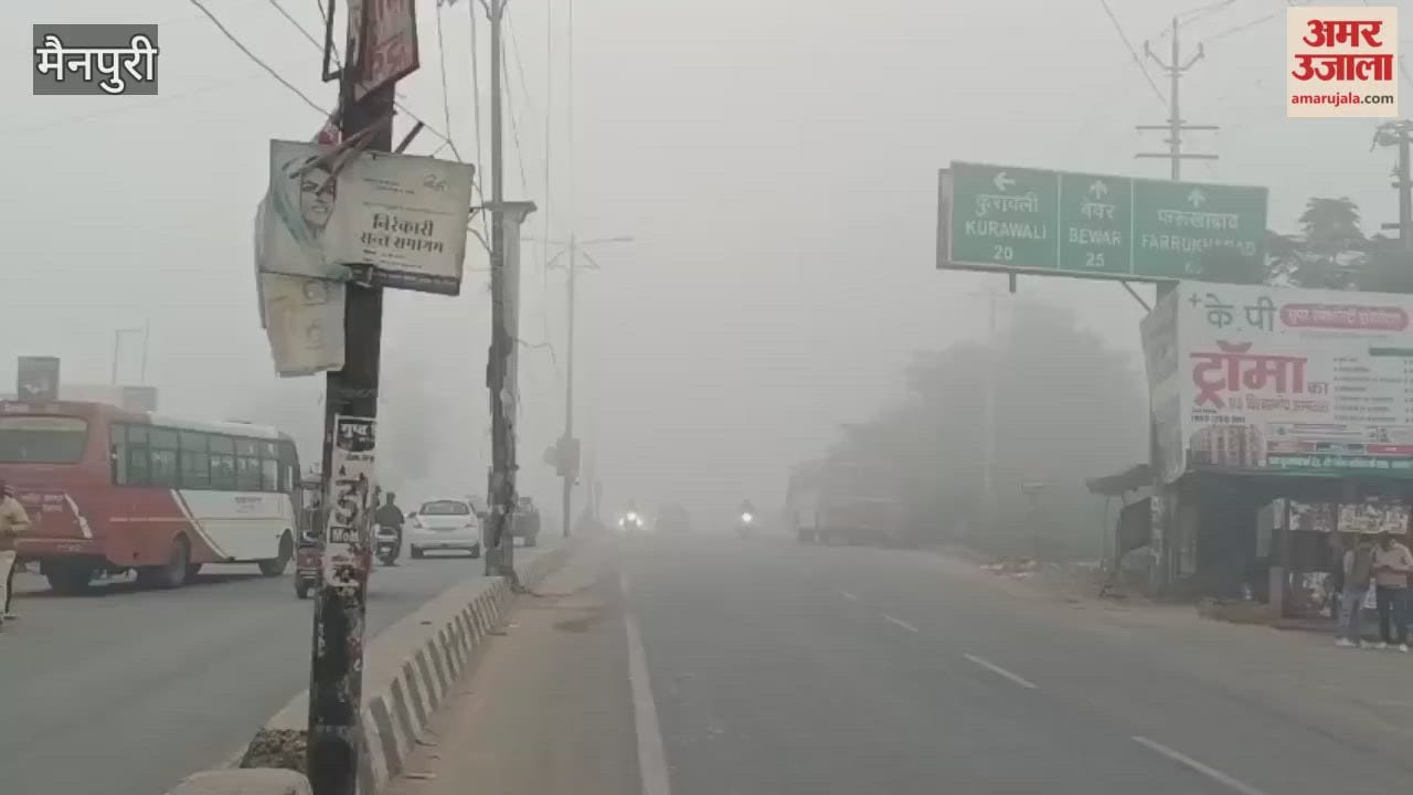 Dense Fog Reduces Visibility Cold Wave Disrupts Daily Life