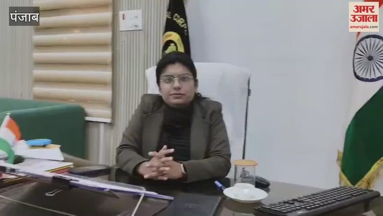 फगवाड़ा में आवारा कुत्तों का कहर, निगम के पास नहीं है कोई हल