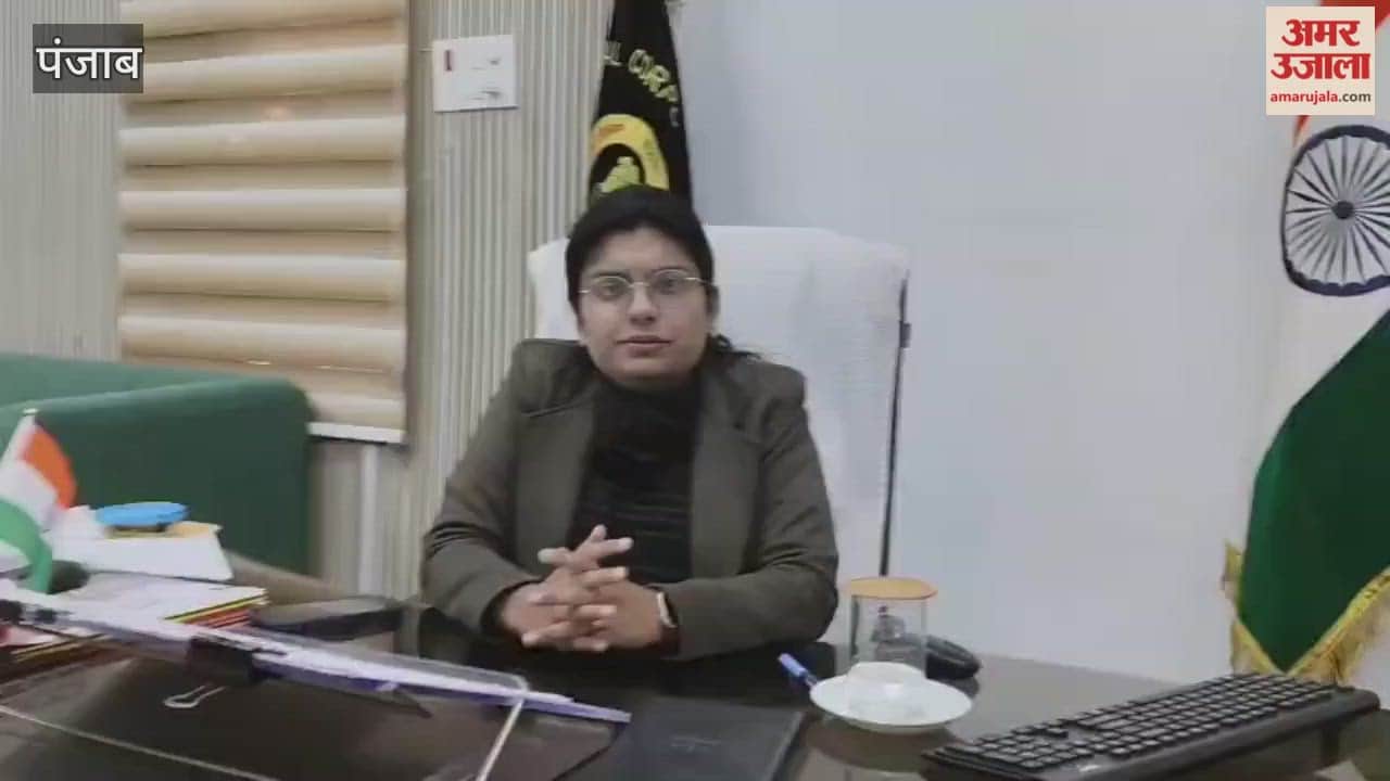 Stray dogs wreak havoc in Phagwara Municipal Corporation has no solution 