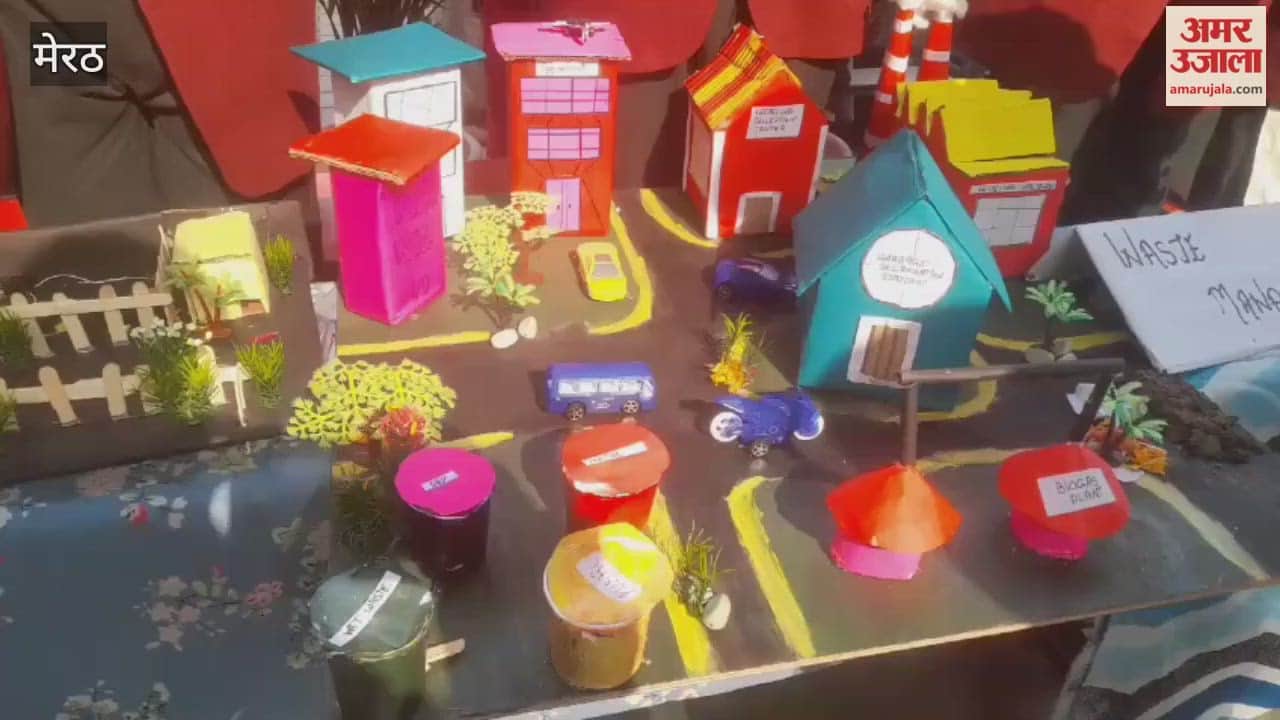 Meerut: Mathematics-Science fair organized