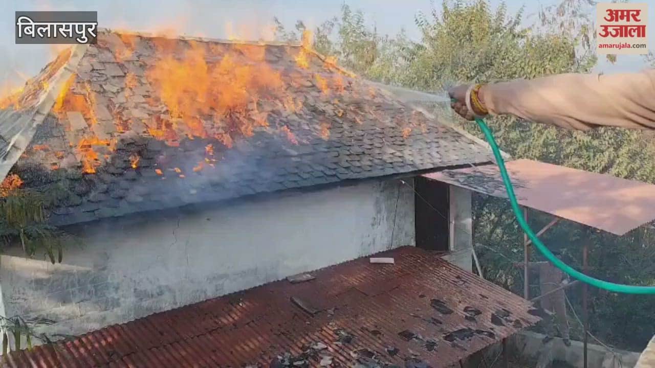 Bilaspur A fire broke out in a cowshed in Badgaon burning hay and grass