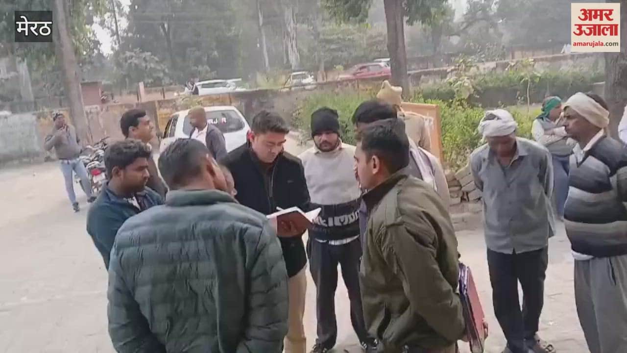 Farmer dies after tree falls on buggy, tree cutters flee