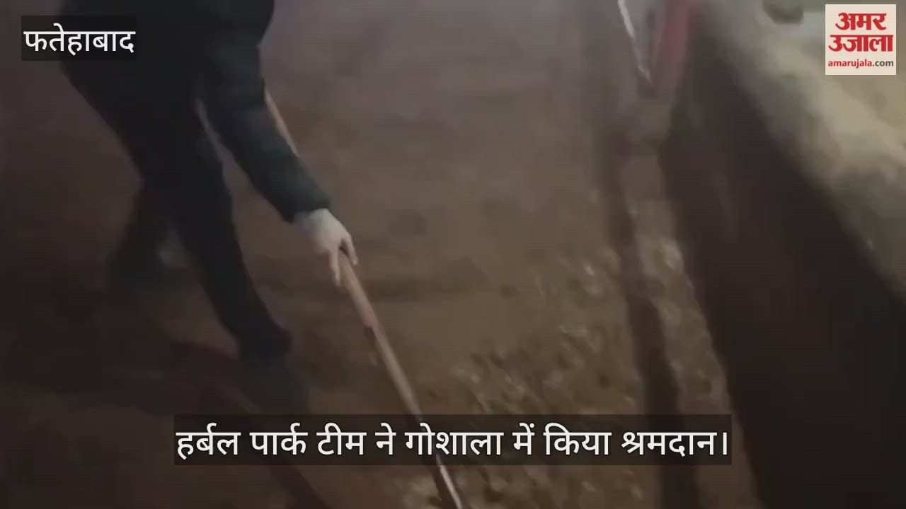 Herbal Park team did voluntary work in cowshed