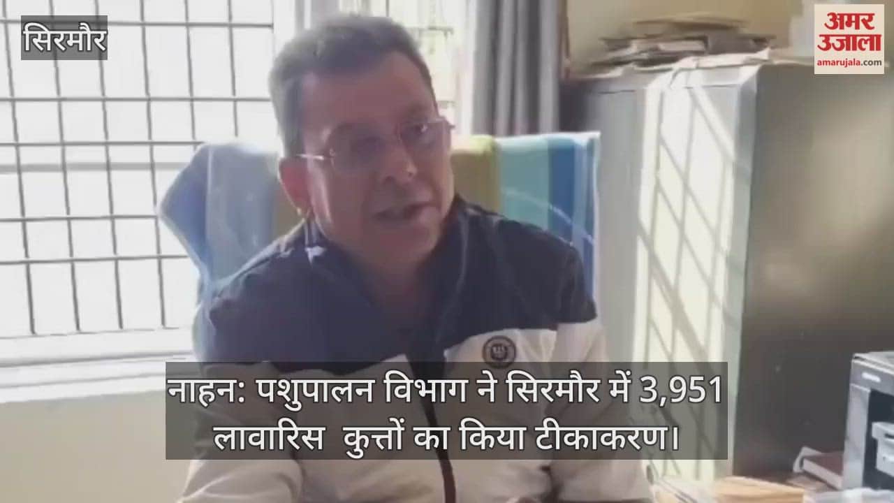 Nahan: The Animal Husbandry Department vaccinated 3,951 dogs in Sirmaur