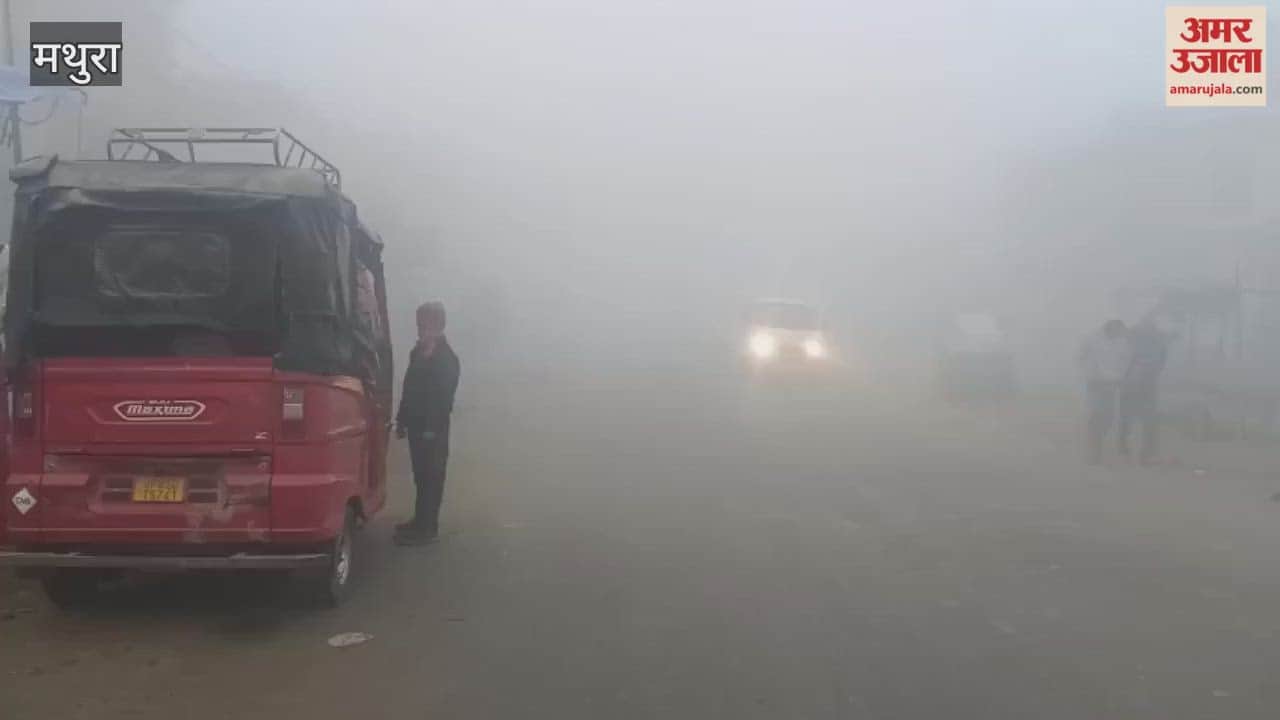 Cold Wave Intensifies in Chhata as Dense Fog Disrupts Daily Life