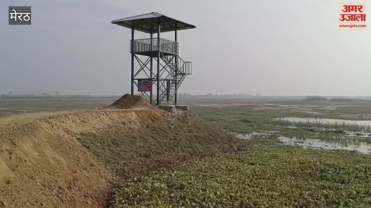 Meerut: Watch tower built in Hastinapur wetland to watch migratory birds