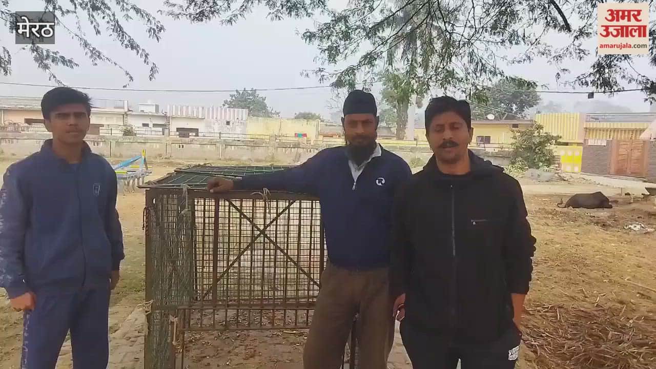 Meerut: Campaign launched to catch monkeys