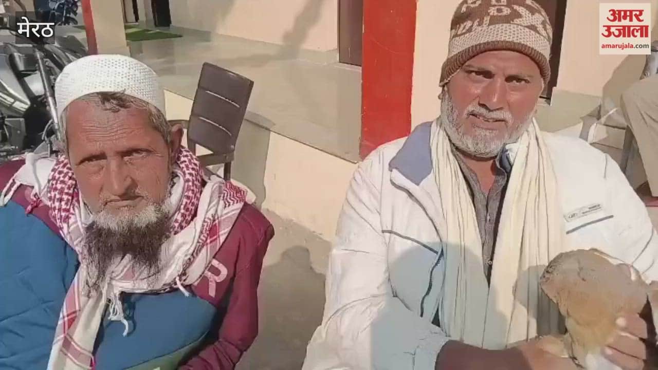 Meerut: Two eagles chased the owl, when it was saved from the eagle, the dogs chased after it, Aden saved it