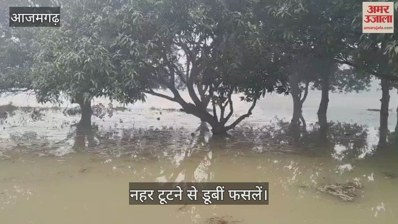 Phulpur canal has breached in Ambari, Azamgarh, flooding hundreds of acres of crops
