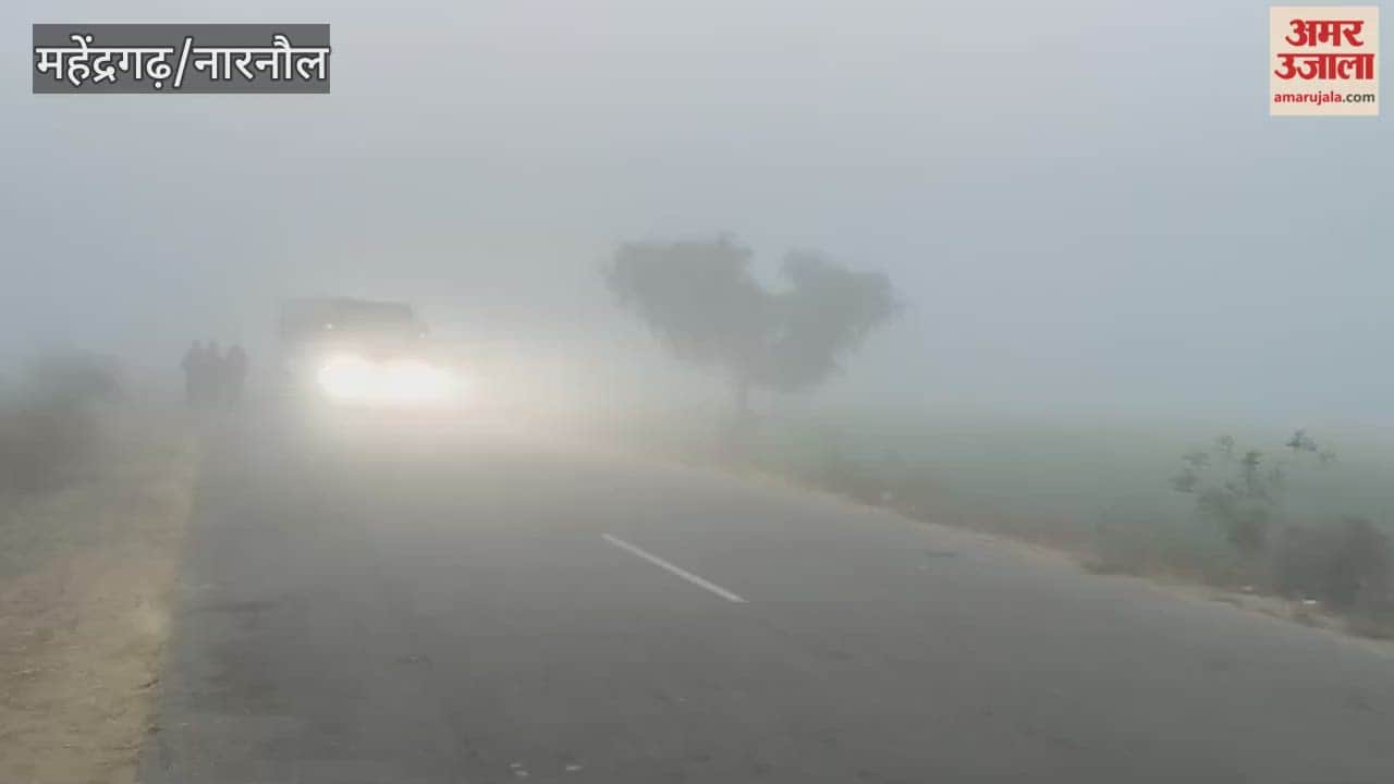 Fog slowed down traffic in Narnaul.