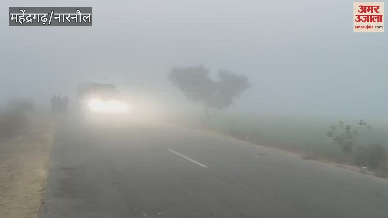 Fog slowed down traffic in Narnaul.