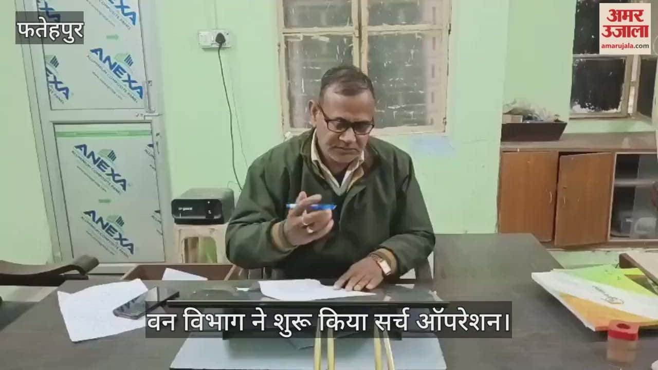 फतेहपुर: खेतों में कांबिंग…गांवों में दहशत, जंगली जानवरों की दस्तक, छह घायल
