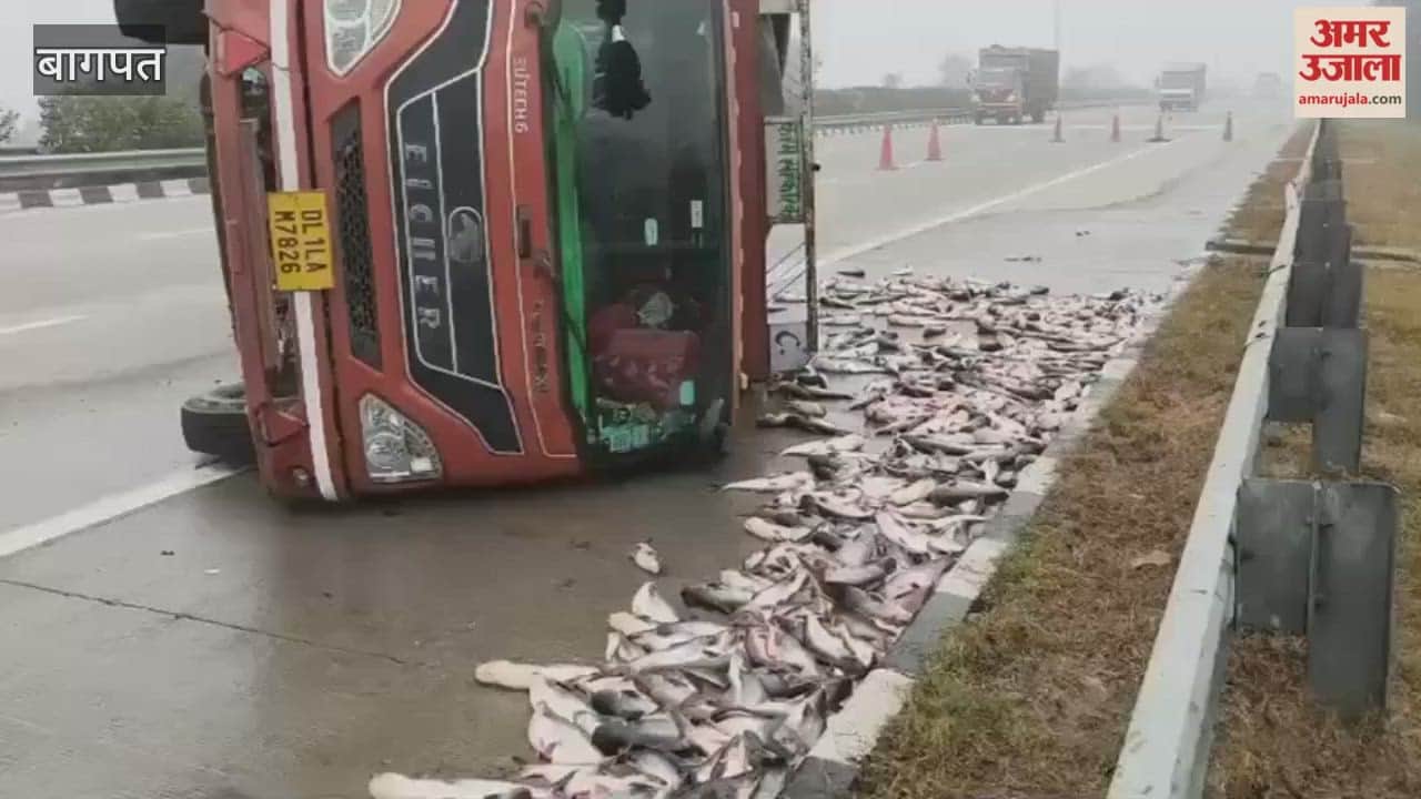 Baghpat: Canter overturned on Eastern Peripheral Expressway, two thousand fish scattered
