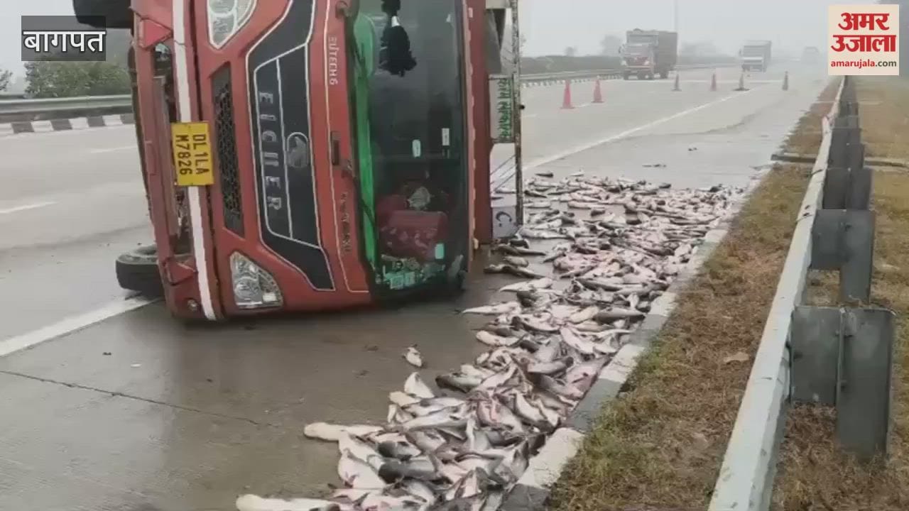 Baghpat: Canter overturned on Eastern Peripheral Expressway, two thousand fish scattered