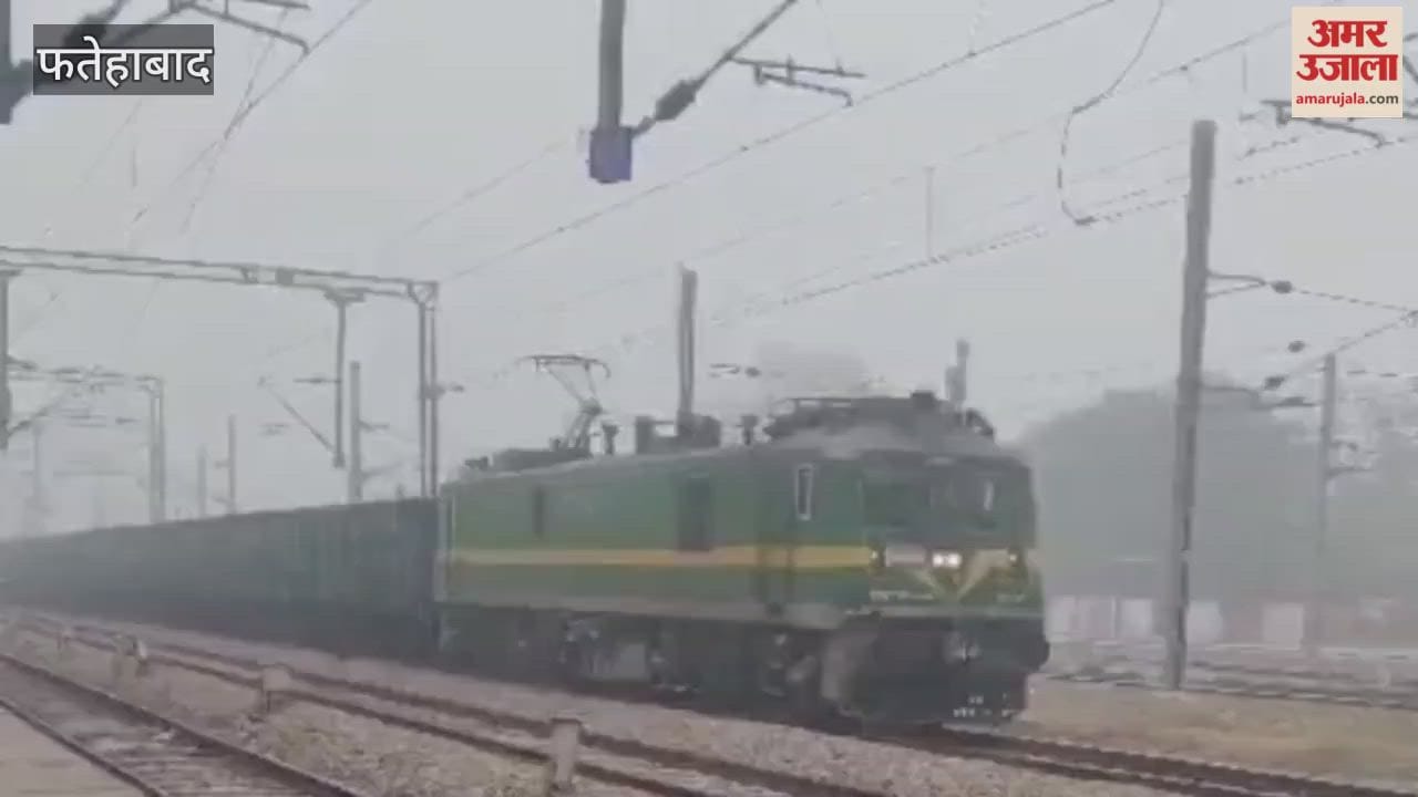 Dense fog in Jakhal, Fatehabad, has brought long-distance vehicles to a halt, causing difficulties for passengers