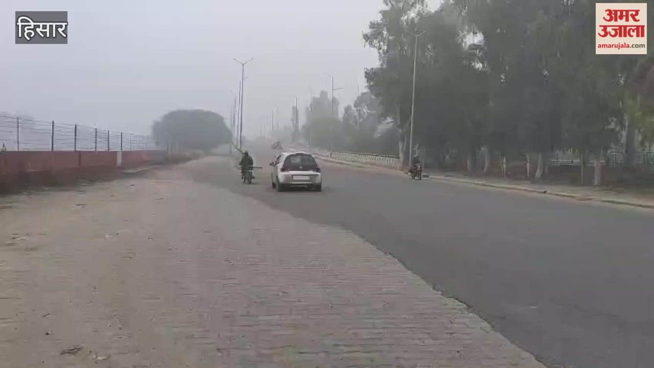 Dense fog covered Hisar since morning, and icy winds made conditions miserable