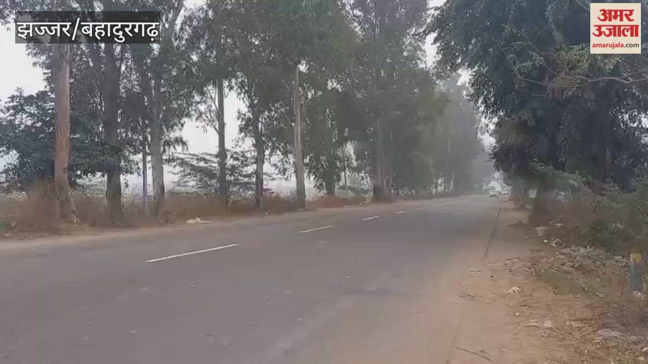 Dense fog and cold wave gripped the outer areas of Jhajjar, leaving people shivering