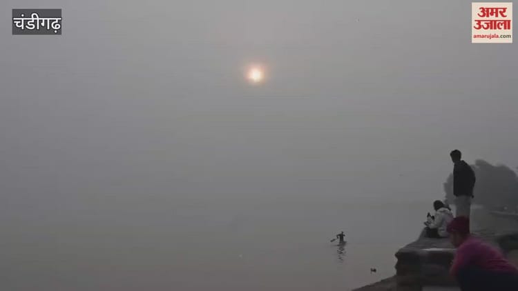 चंडीगढ़ में घनी धुंध के साथ सुबह की शुरुआत, कुछ ऐसा था सुखना का नजारा – Morning In Chandigarh Began With Dense Fog