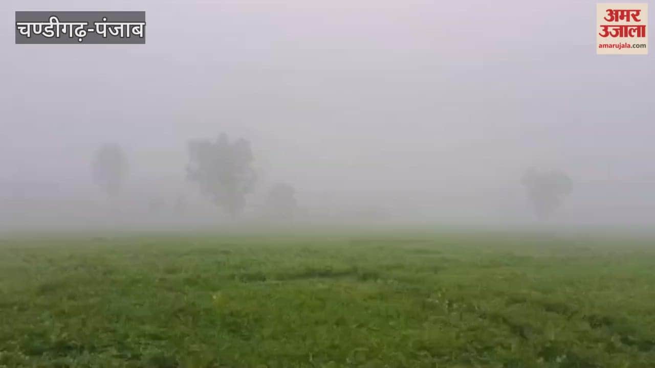 Ferozepur Fog at border has increased difficulties for BSF