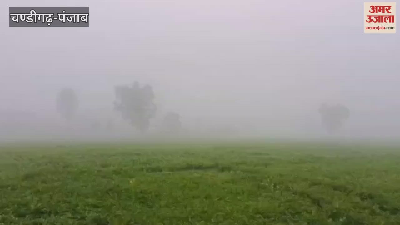 Ferozepur Fog at border has increased difficulties for BSF