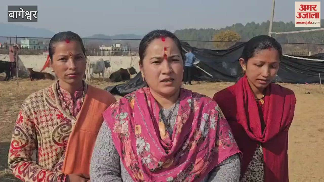 Nagar Panchayat Garur sent 18 stray animals to the cowshed