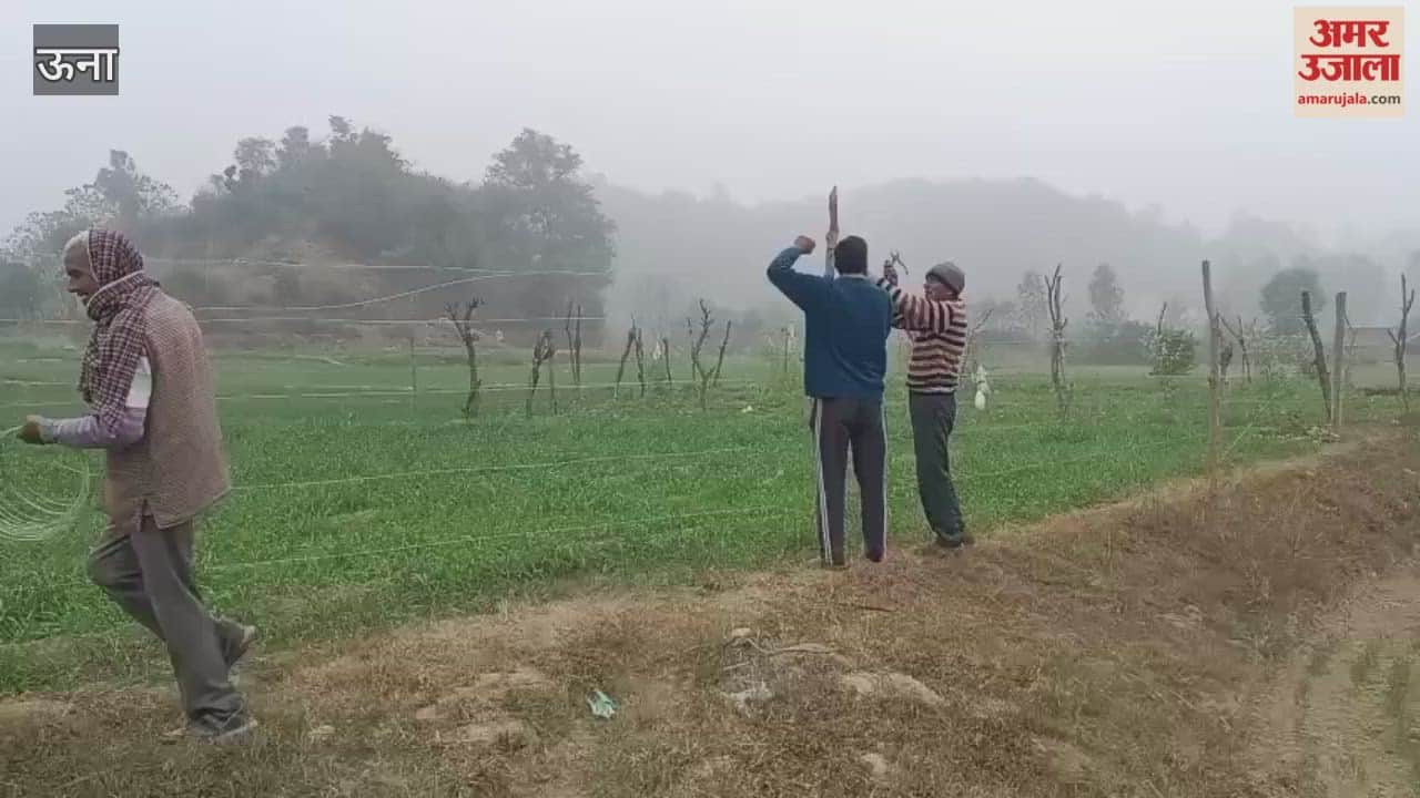 Una Due to stray animals wild animals and drought farmers in Berian are forced to install steel wires in their fields