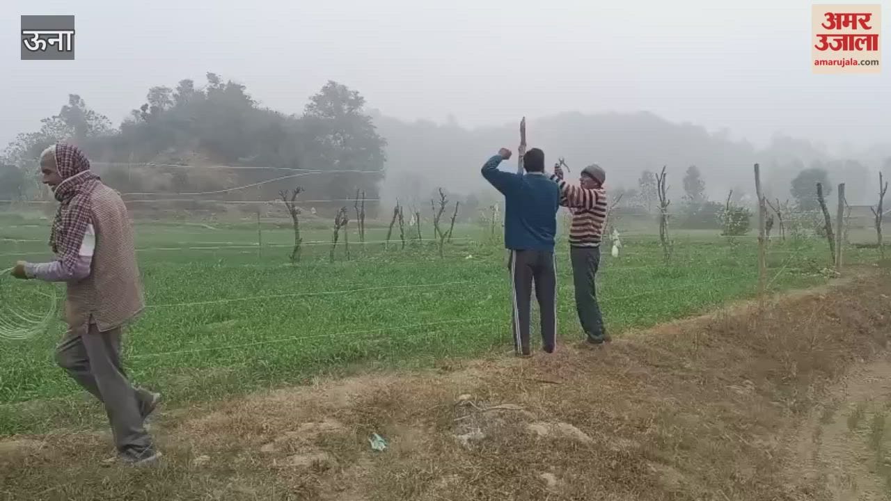 Una Due to stray animals wild animals and drought farmers in Berian are forced to install steel wires in their fields