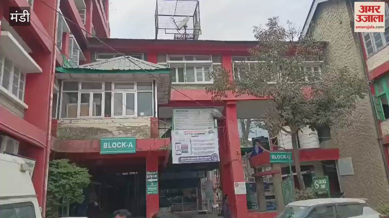 DC mandi said that 1100 polio booths have been set up to make Mandi district polio-free