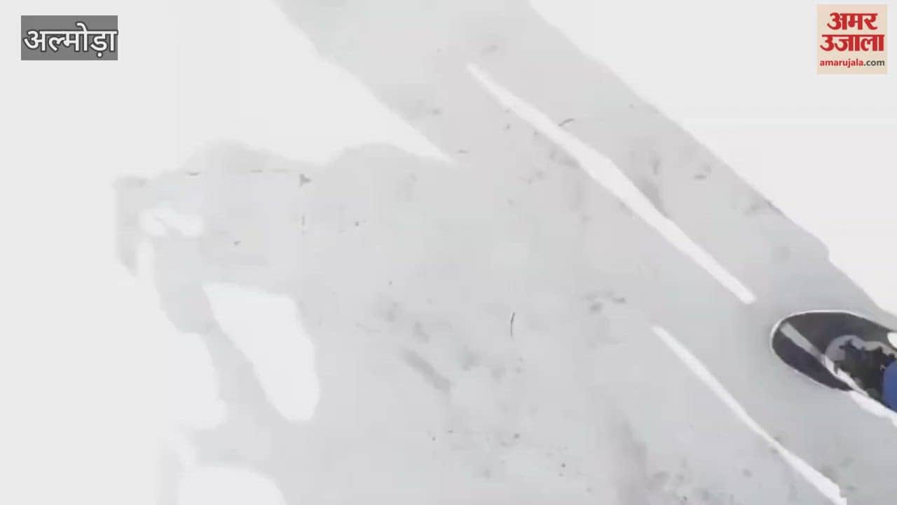 Environmentalists took out a procession and raised slogans against the regularization order in almora