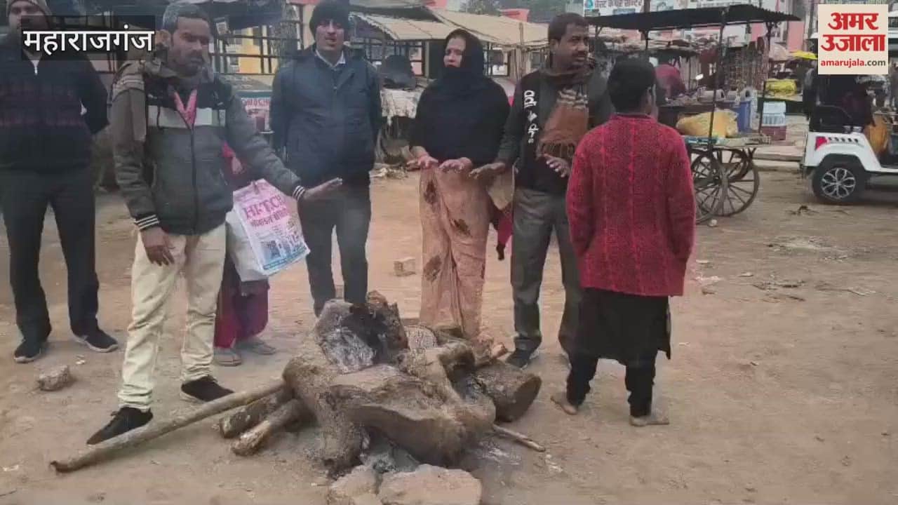 Cold disrupts life, lives dependent on bonfires