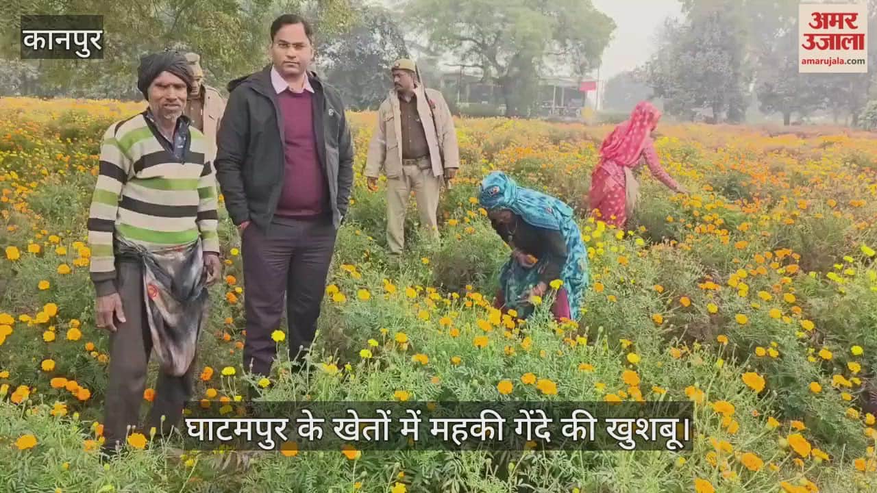 कानपुर: एसडीएम ने परखी फूलों की खेती और किसानों का बढ़ाया उत्साह