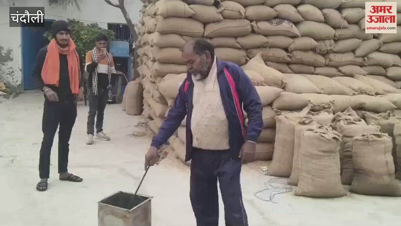venomous snake was caught at Jai Bajrang Industries rice mill workers breathed sigh of relief