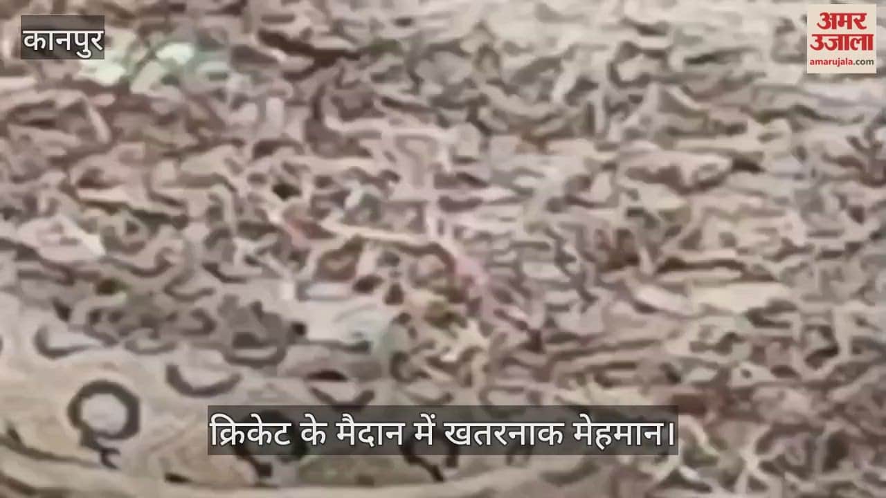 कानपुर : खेल के मैदान में निकला रसेल्स वाइपर, बच्चों और ग्रामीणों में मची खलबली