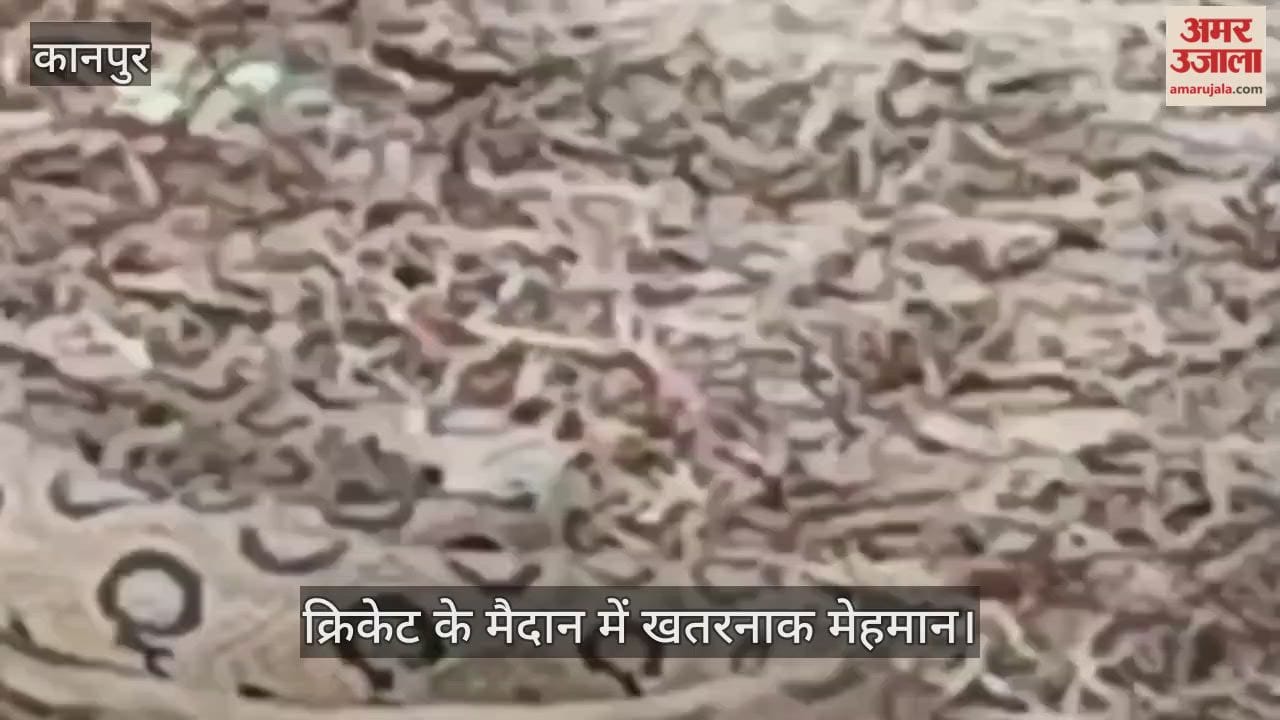 कानपुर : खेल के मैदान में निकला रसेल्स वाइपर, बच्चों और ग्रामीणों में मची खलबली