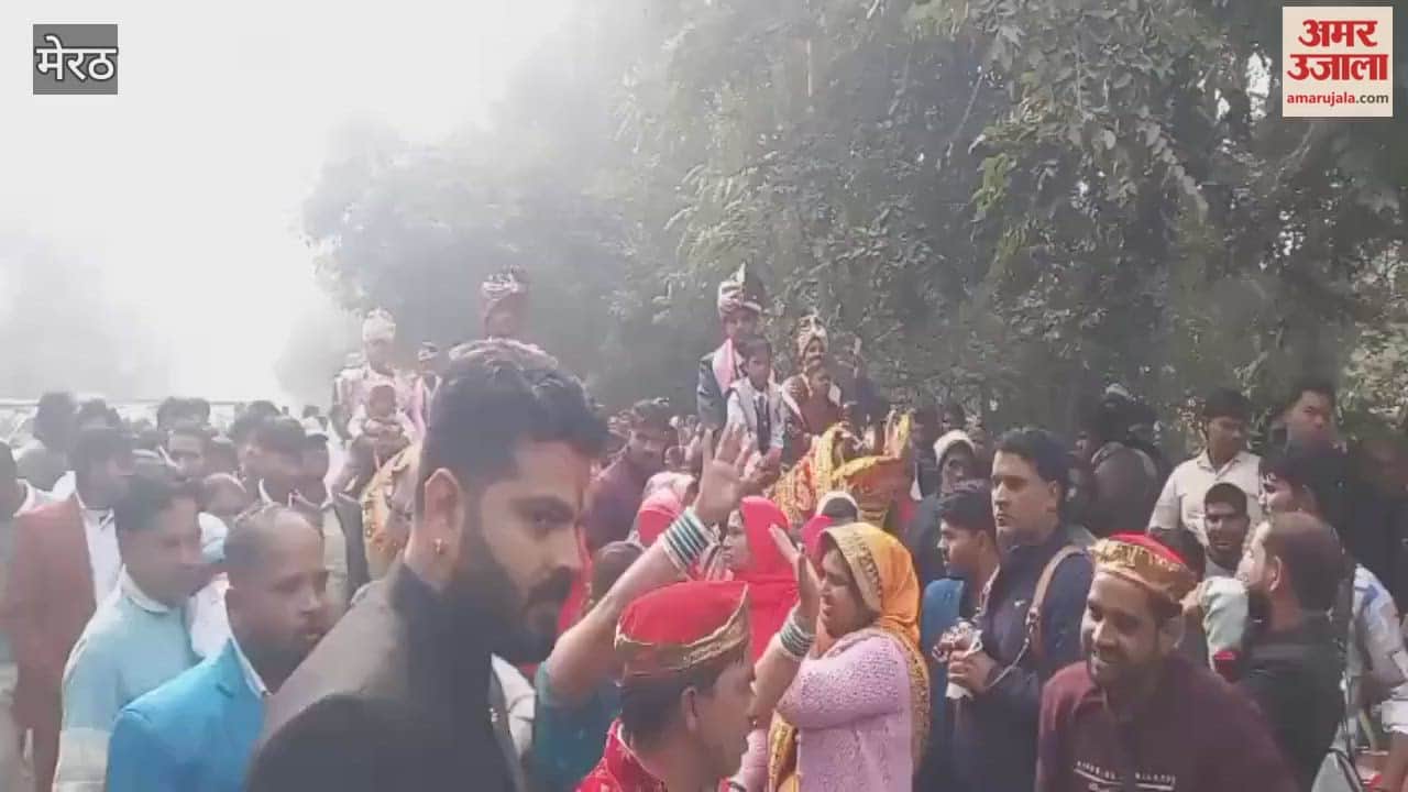 Meerut: A groom and a wedding procession dancing in a horse carriage, watch video