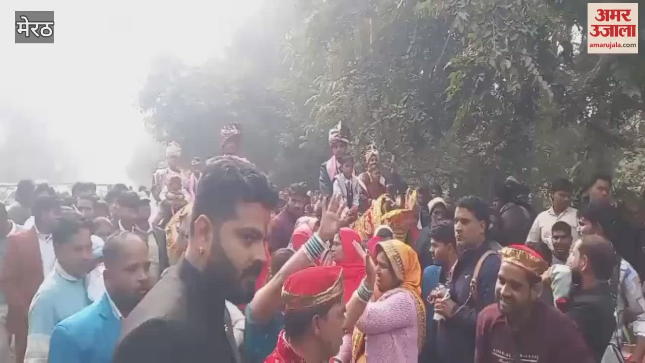 Meerut: A groom and a wedding procession dancing in a horse carriage, watch video