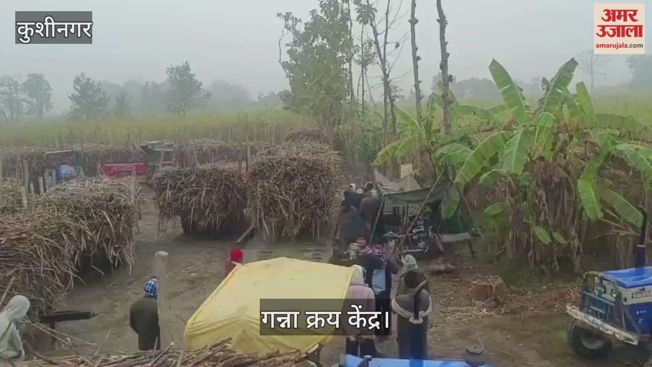 Sugarcane is not being weighed on time, farmers are troubled in the cold.