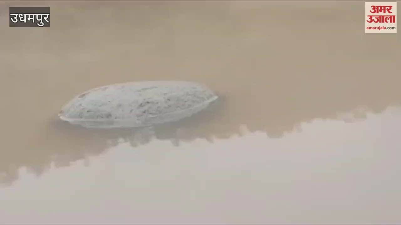 A mysterious stone weighing 2-4 kg was spotted floating on the Tawi River in Udhampur, leaving locals and devotees baffled.