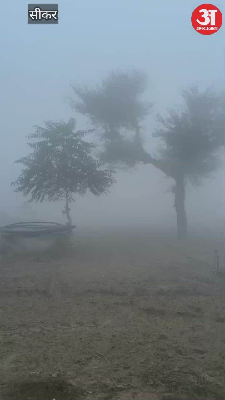 Sikar Weather Update: Dense Fog in Shekhawati, Visibility Reduced to 50 Meters; Sudden Change in Weather