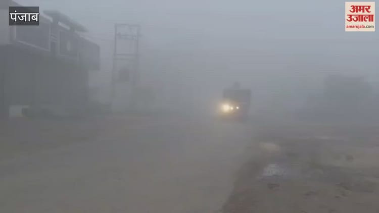 फरीदकोट में छाया घना कोहरा,जनजीवन प्रभावित