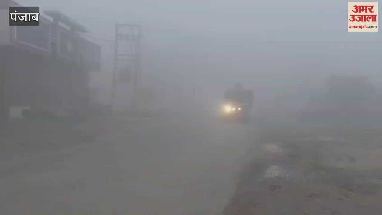 Dense fog engulfs Faridkot, disrupts normal life