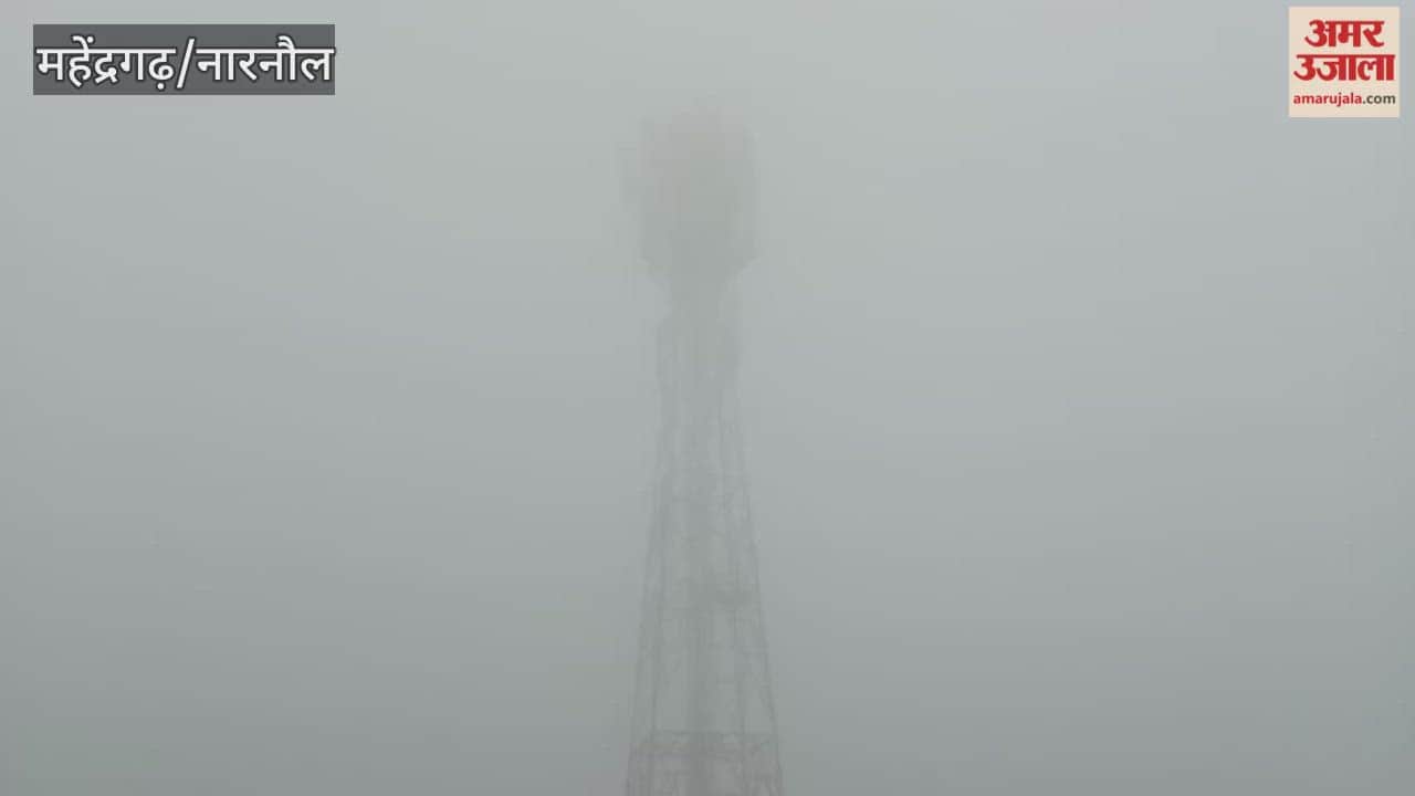 Fog prevails in Narnaul, cold wave continues since morning