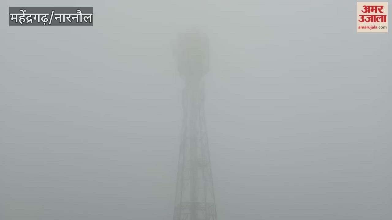 Fog prevails in Narnaul, cold wave continues since morning