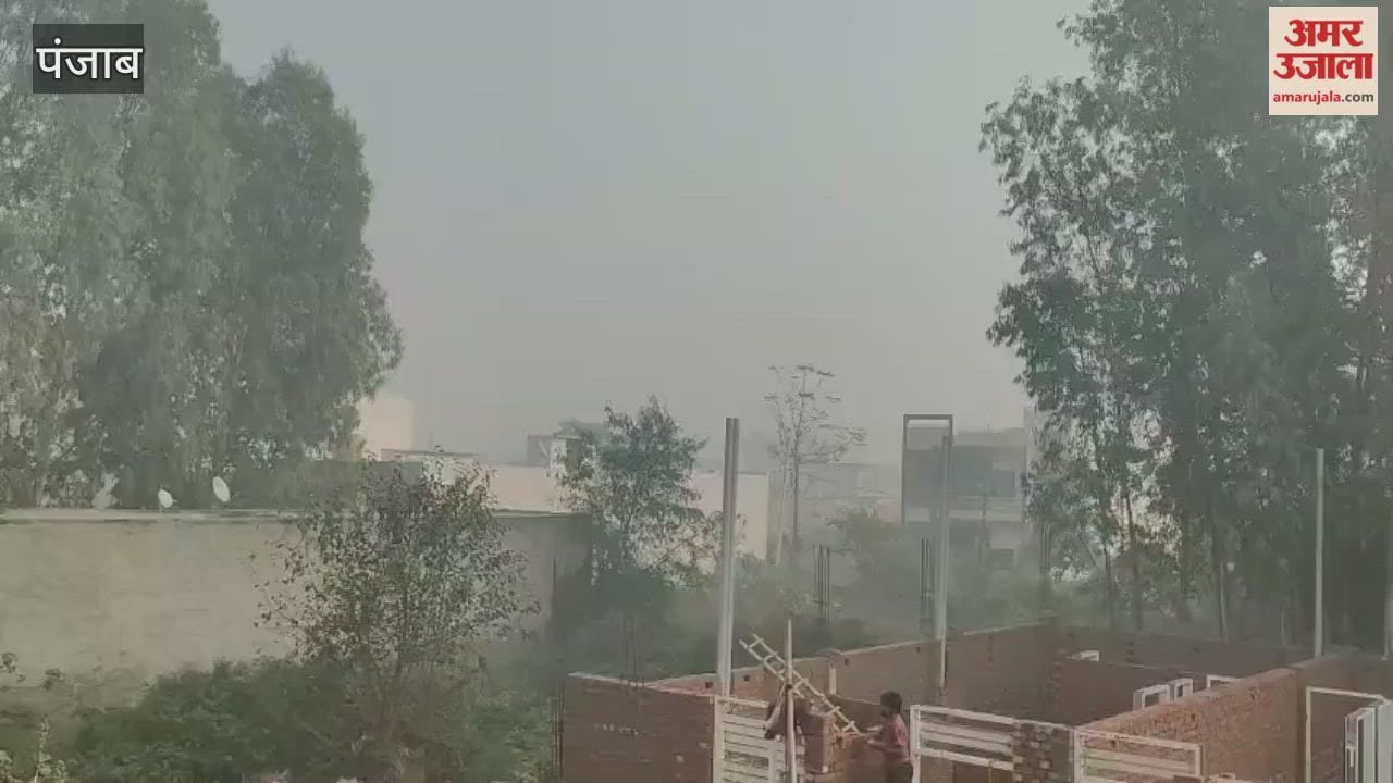 Clear weather in Phagwara, sunshine brings relief from cold