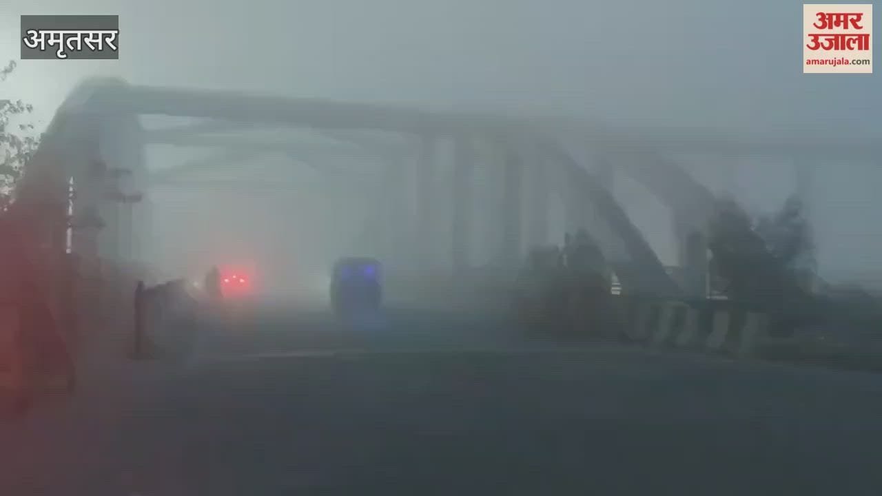 dense fog in amritsar