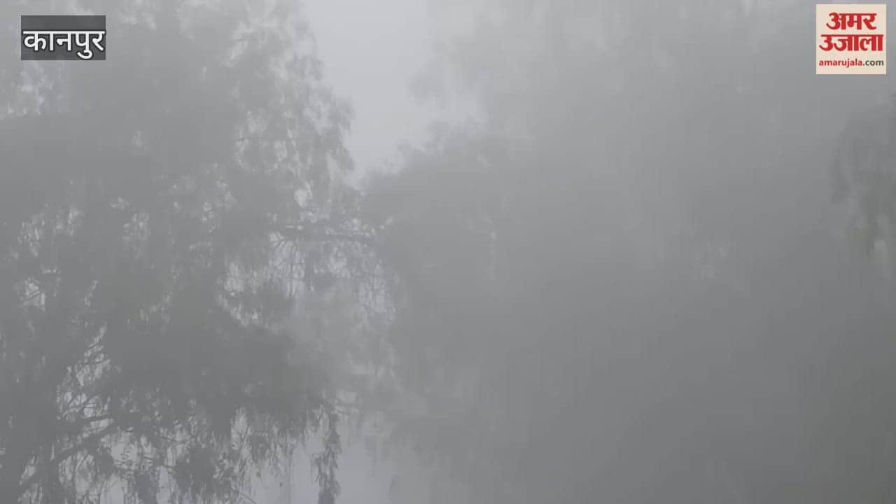 Kanpur: Traffic disrupted on Kalyanpur Road due to dense fog