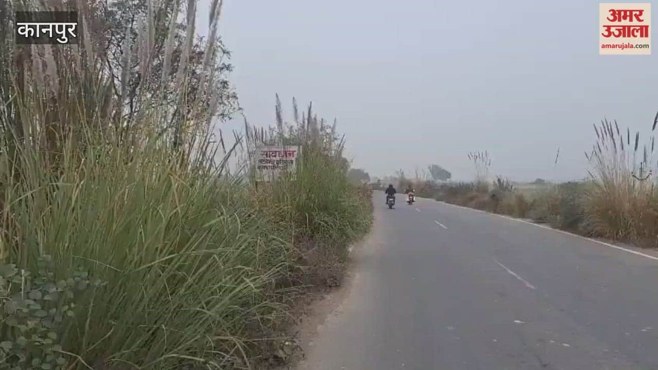 sign indicating the damaged embankment was hidden among weeds and was not visible to drivers